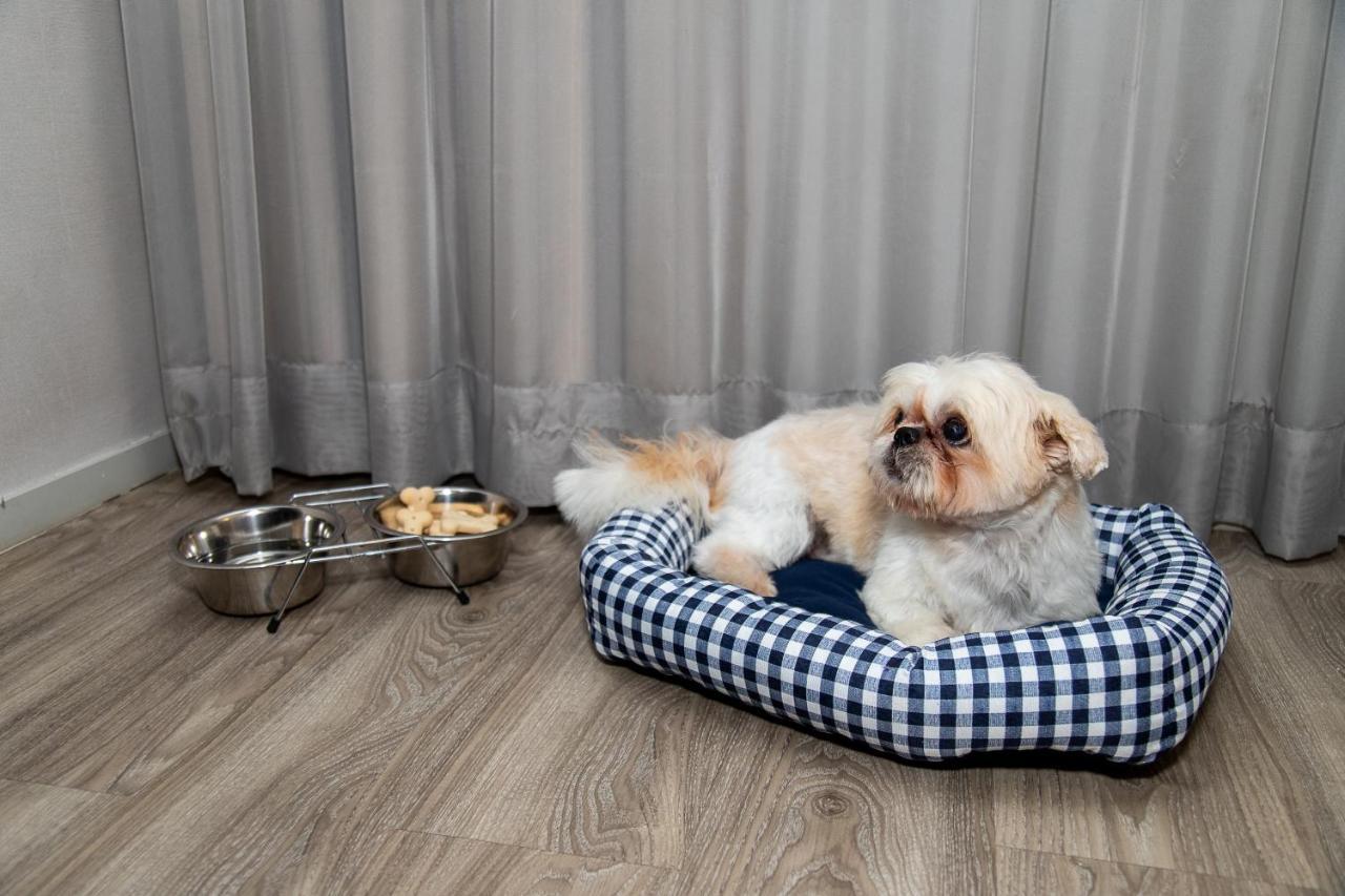 Hotel Radisson Rio De Janeiro Barra Zewnętrze zdjęcie A dog in a dog bed